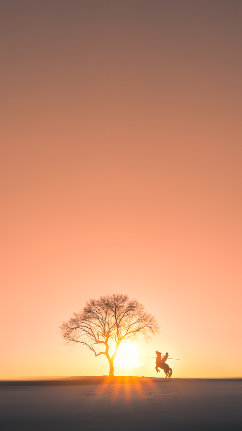 开云体育官方网站-绿茵双面镜，巴雷拉的统治级数据与奥地利的团队完胜