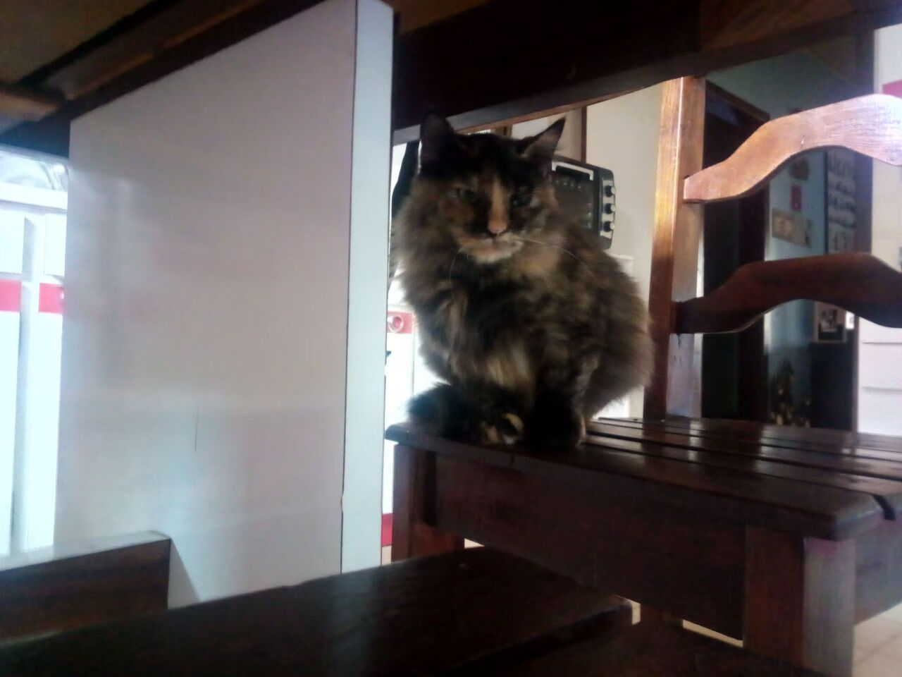 奥运足球双星闪耀，勒沃库森系德国力克哥斯达黎加，莱万关键战接管比赛定乾坤