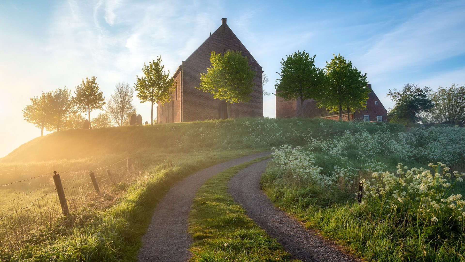 2026世界杯焦点战,灰熊战术完美压制黄蜂攻势