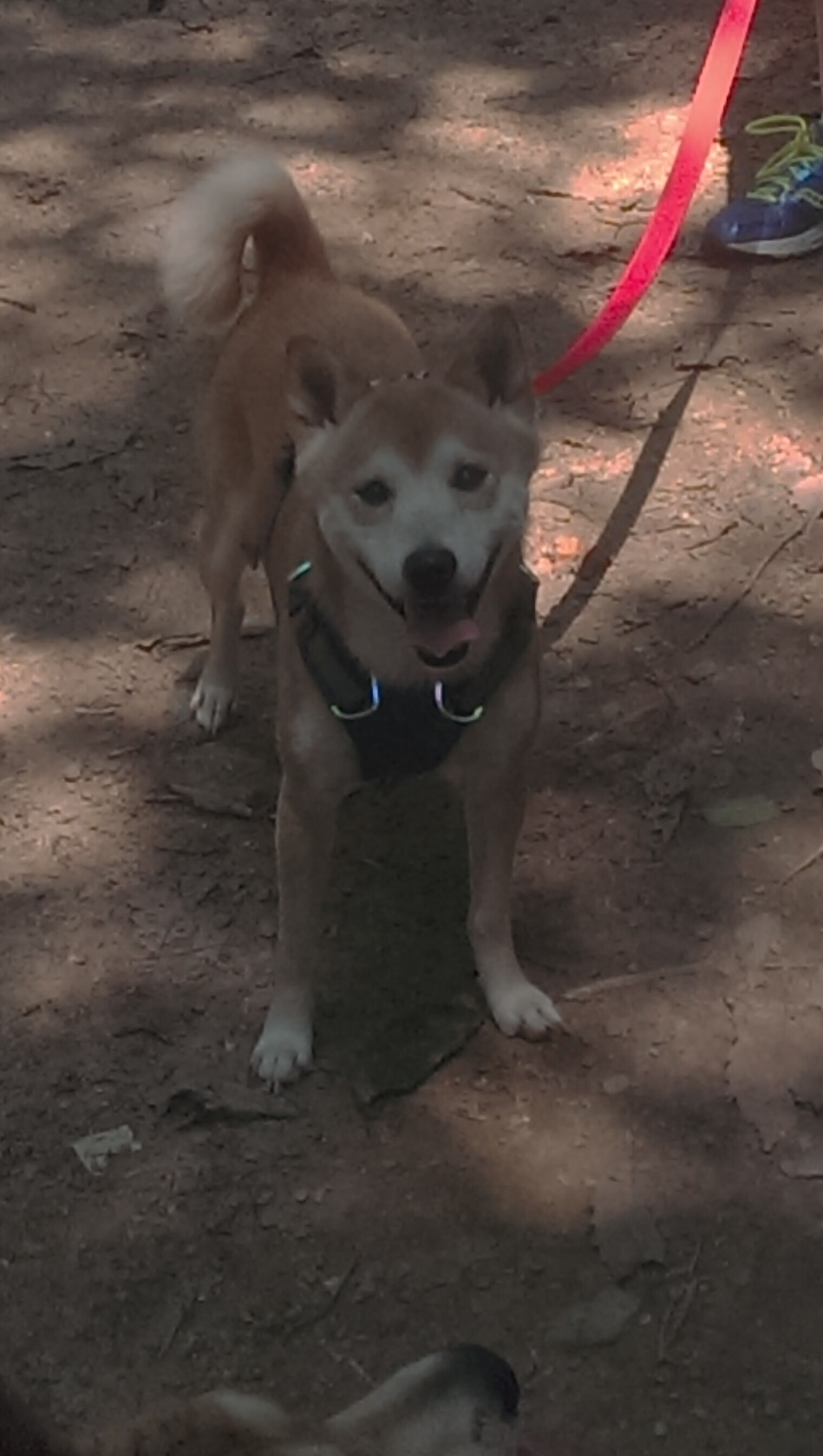 穆勒无解之谜，波兰加时鏖战击退摩纳哥