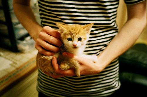 开云体育下载-新星闪耀与铁血碾压，当班凯罗的关键先生光环映照76人的冷酷决胜局