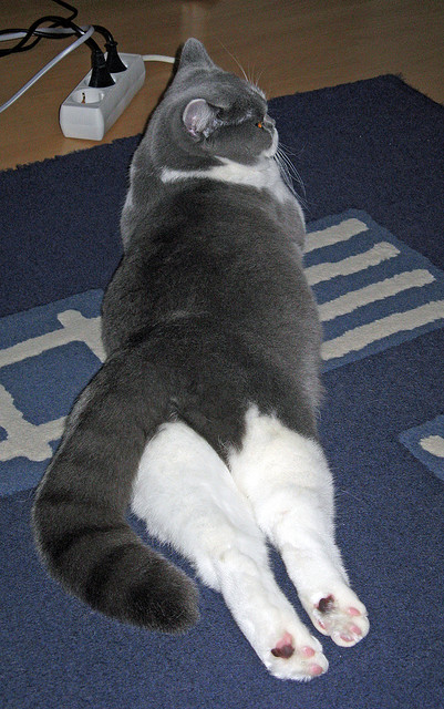 新星闪耀与铁血碾压，当班凯罗的关键先生光环映照76人的冷酷决胜局