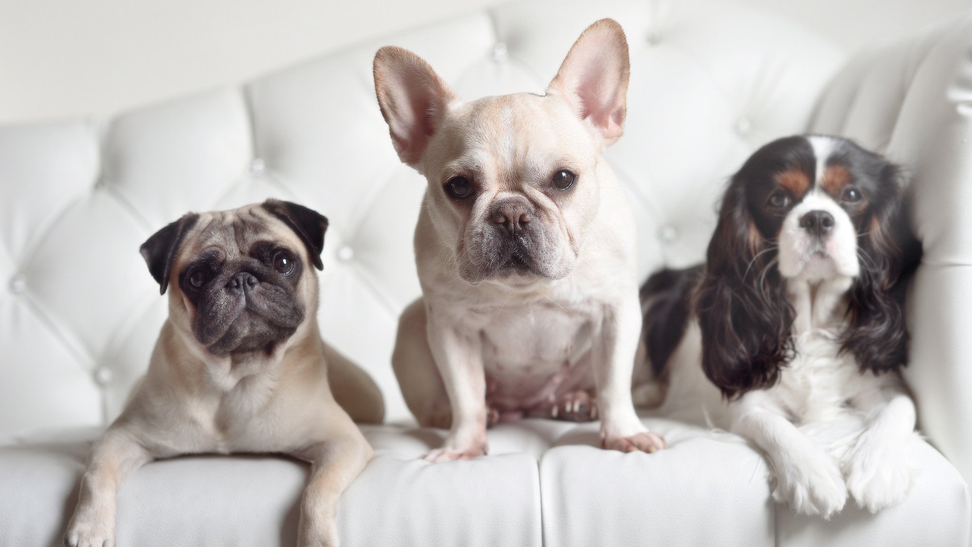 极速与坚韧，当F1冠军战遇见篮球打穿哲学